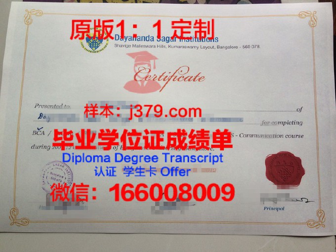 贝拿勒斯印度教大学diploma证书(印度贝纳勒斯)