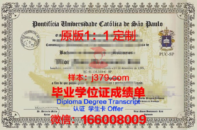 里约热内卢天主教大学毕业证照片(里约热内卢基督像)
