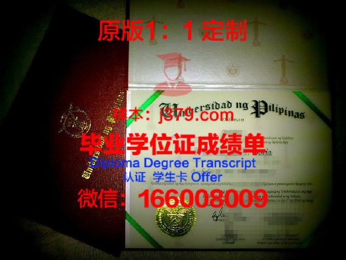 菲律宾大学维萨亚斯分校diploma证书(菲律宾维萨亚斯大学怎么样)