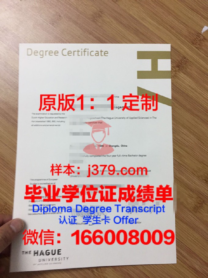 海牙应用科学大学的毕业证都能做(海牙大学中国承认吗)