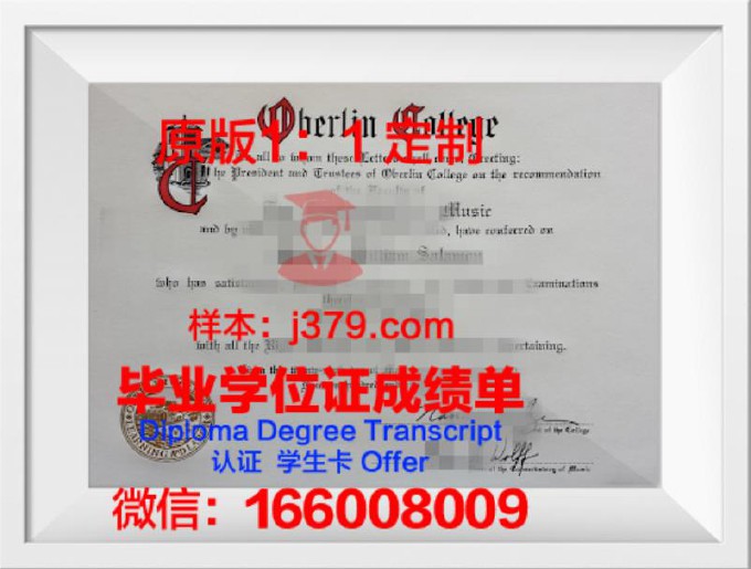 柏林艺术大学学位证(柏林艺术大学入学要求)