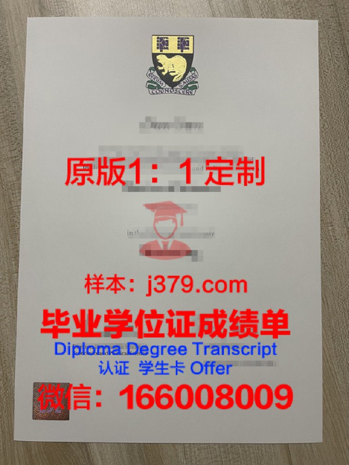 伦敦城市大学毕业证图片高清(伦敦城市大学毕业证图片高清大全)