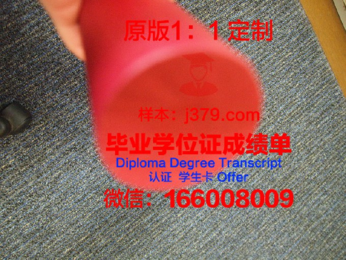 卡斯蒂利亚拉曼恰大学博士毕业证书(卡斯蒂利亚拉曼查大学学费)