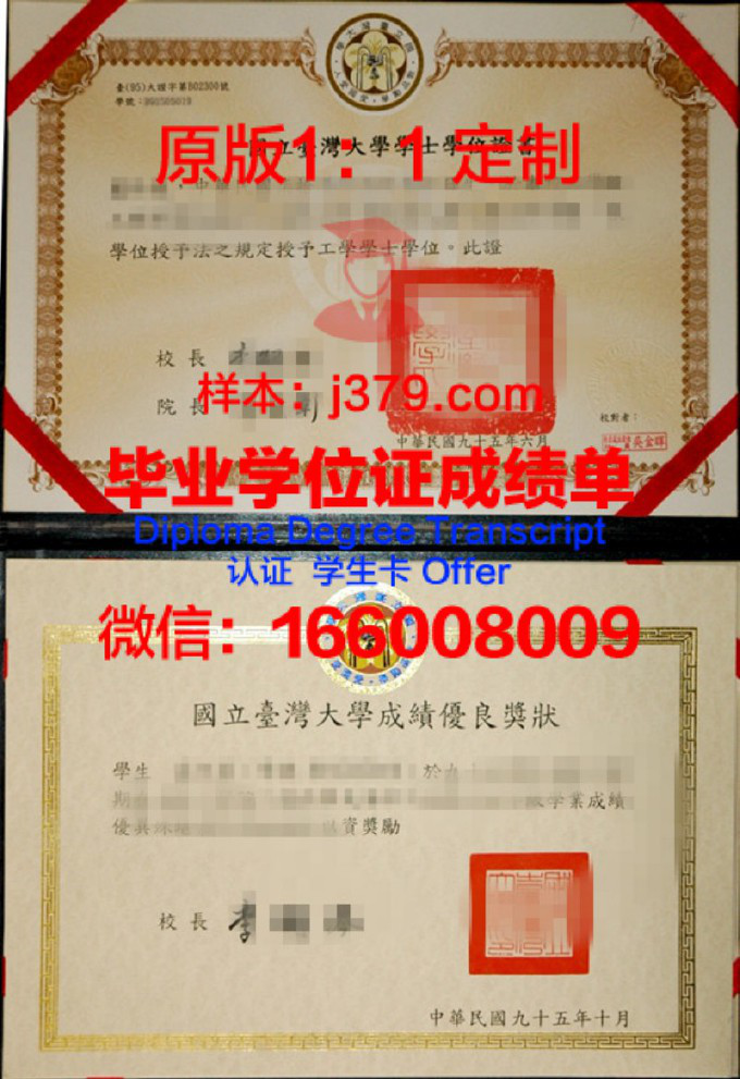 忠南大学毕业证学位证(中南大学学士学位证书样本)