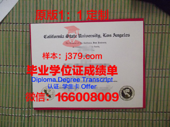 加州大学长滩毕业证图片(加州大学长滩毕业证图片大全)