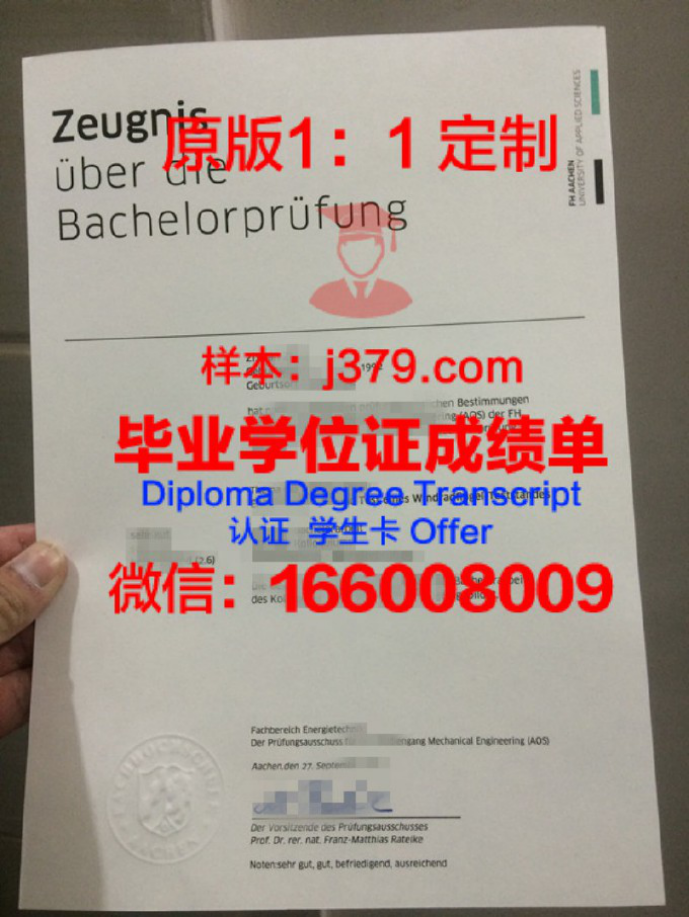 探秘圣太田高等商业学院成绩单：一份充满骄傲与挑战的证明