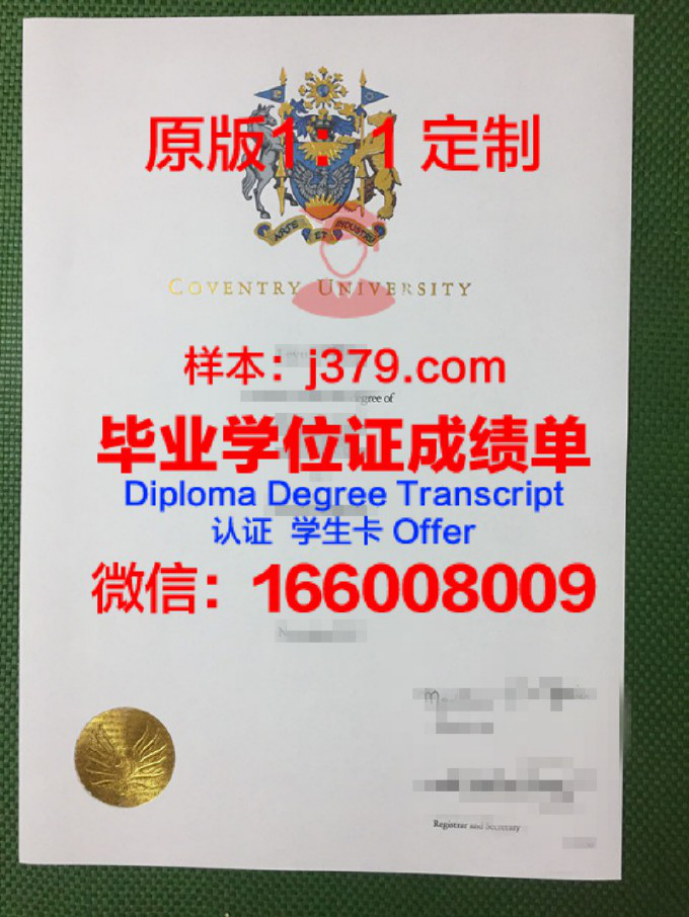 佐治亚南方大学录取通知书 OFFER 定制：开启美国留学之旅