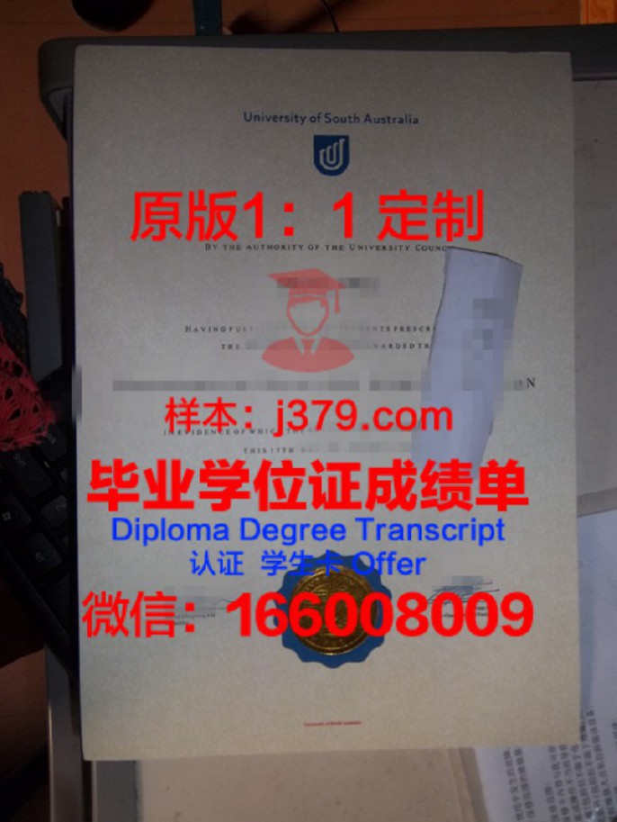 不大学毕业证能查到吗——探讨毕业证书查询的可能性与途径