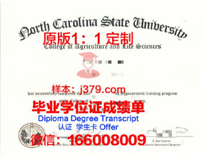 威奇塔州立大学 diploma 毕业证