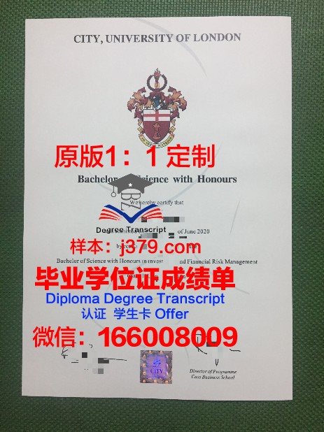 拉罗什学院毕业证图片La Roche College Diploma