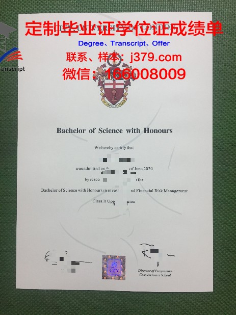 探究美大硕士毕业证的价值与意义