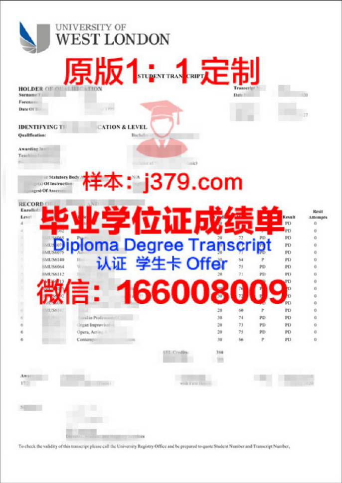 姆斯工成绩单：揭示教育背后的故事