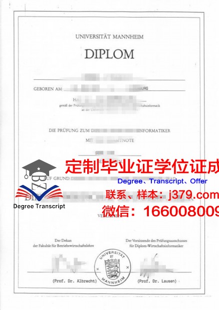 探寻曼海姆大学毕业证成绩单背后的故事