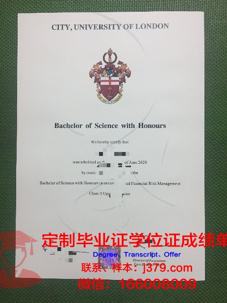 母亲瓦伊什诺德维大学毕业证外壳