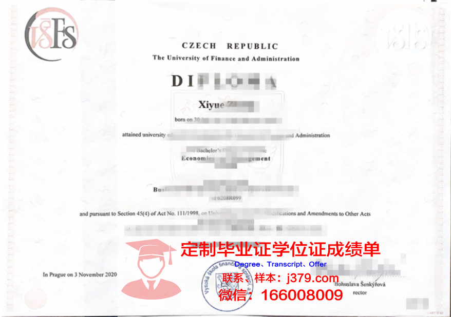 捷克布杰约维采南波西米亚大学文凭(捷克布杰约维采小镇)