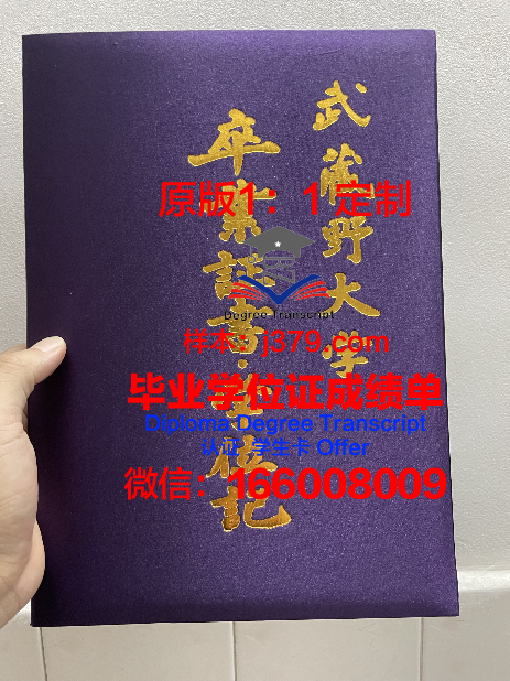 武藏野音乐大学毕业证图片(武藏野音乐大学相当于国内啥大学)