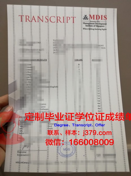 探究卡塔赫纳理工大学成绩单的价值与意义