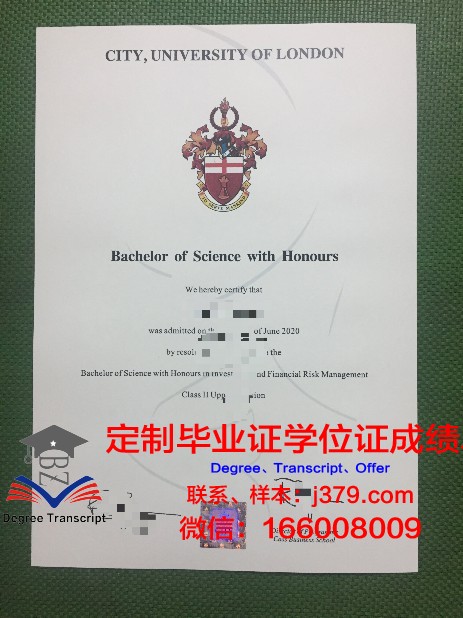 毕索大学毕业证diploma