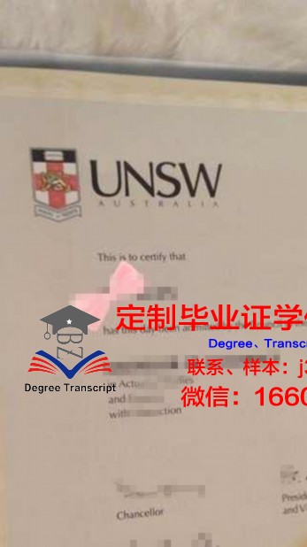 比尤纳维斯特大学毕业文凭