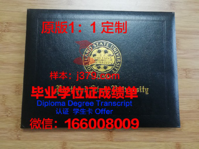 威尼斯大学毕业证壳子(威尼斯大学注册费)