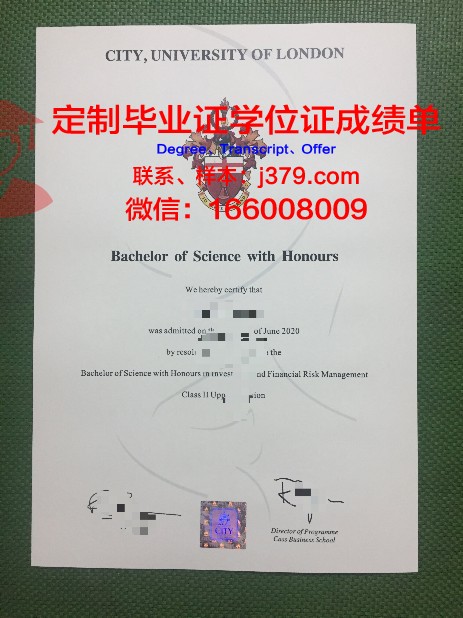 提契诺大学毕业证模板