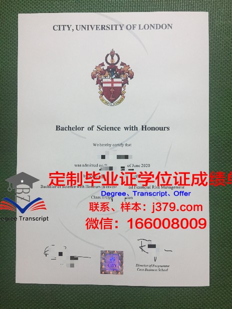 拉贾斯坦大学毕业证模板(拉贾斯坦的头纱)