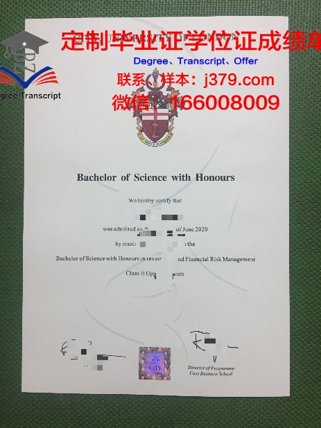 毕加索语言学院毕业证diploma