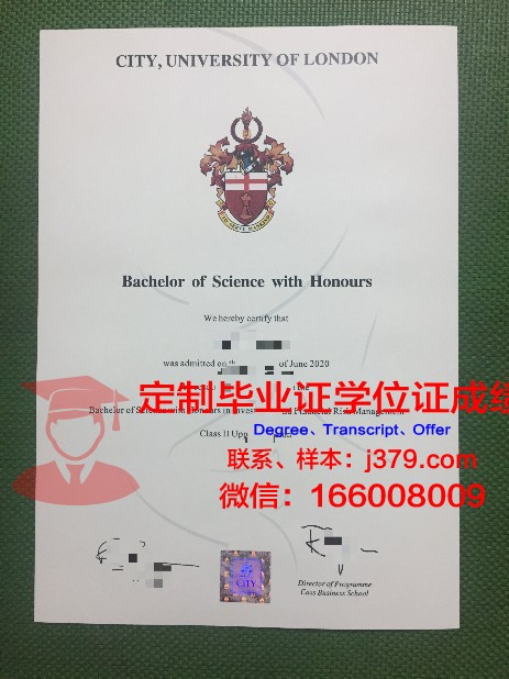 探索ITech博士毕业证背后的价值与意义