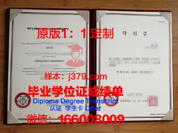 孟买大学diploma证书(孟买大学好申请吗)