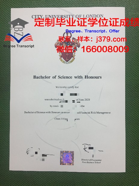 探寻学术成就的巅峰——奈梅亨大学博士毕业证的意义与价值