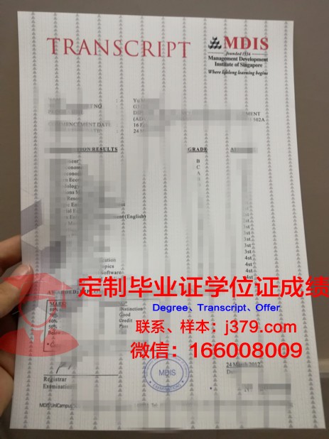 比尤纳维斯特大学成绩单：一份全球认可的学术凭证