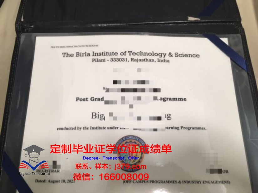 比尔拉科学技术学院毕业证模板