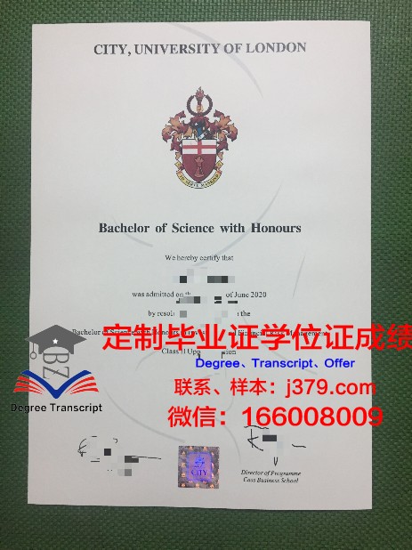 母亲瓦伊什诺德维大学拿不了毕业证(瓦德汉学院)