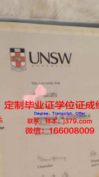 毕索大学毕业文凭