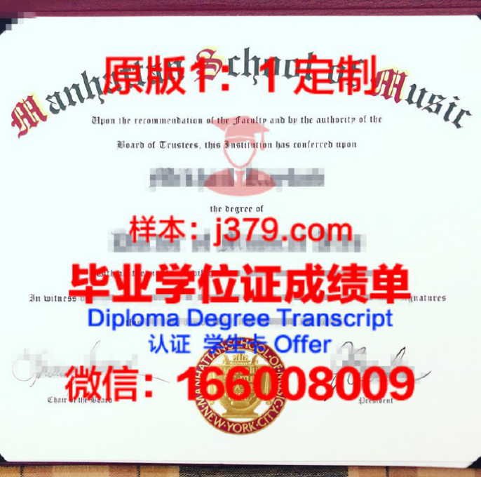 威尼斯音乐学院 diploma 毕业证