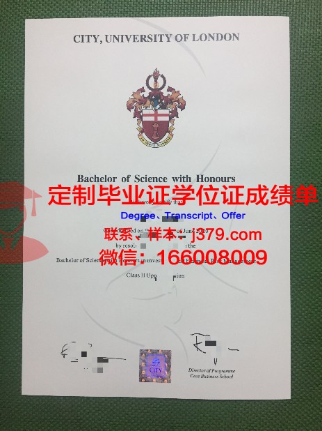 毕索大学毕业证认证成绩单Diploma