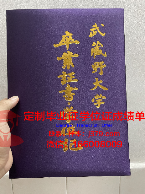 武藏野音乐大学毕业证模板(武藏野美术大学毕业证书)