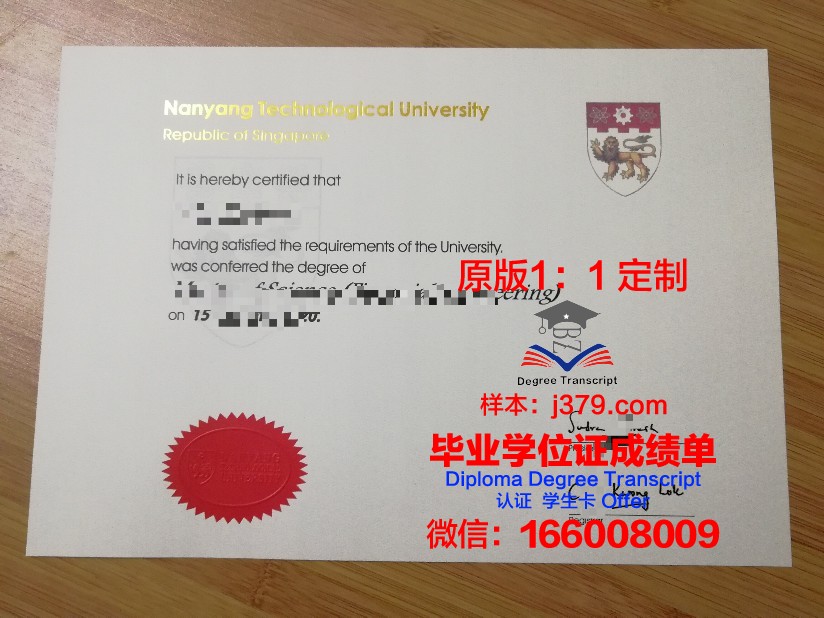 探索ITMO大学本科毕业证的价值与意义