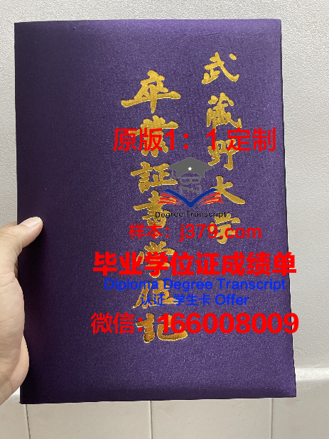 武藏野音乐大学毕业证书什么颜色(日本武藏野音乐大学官网)