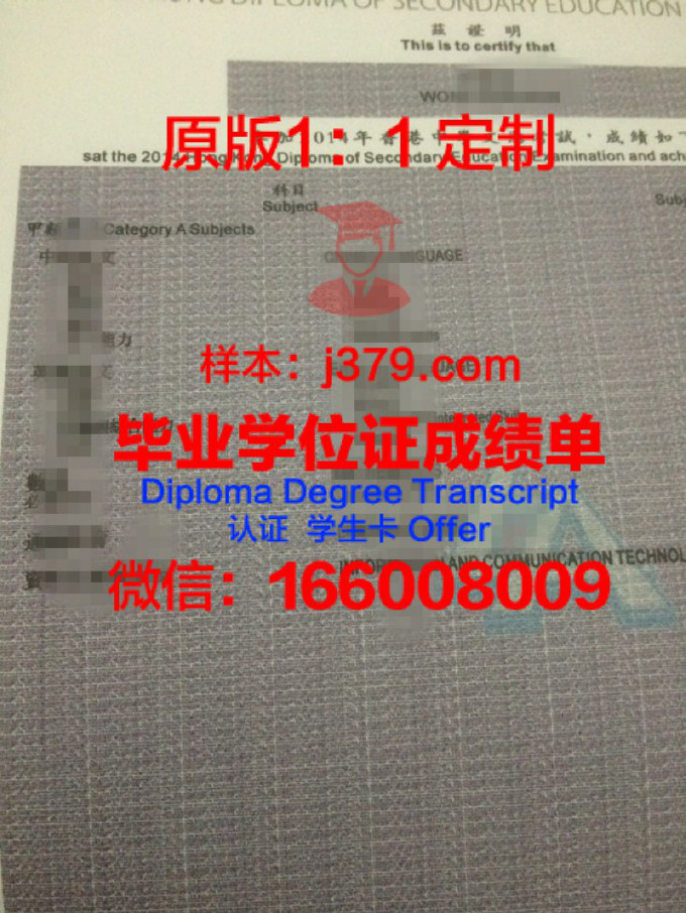 姆巴拉拉科技大学毕业证书：一份承载荣誉与梦想的文凭