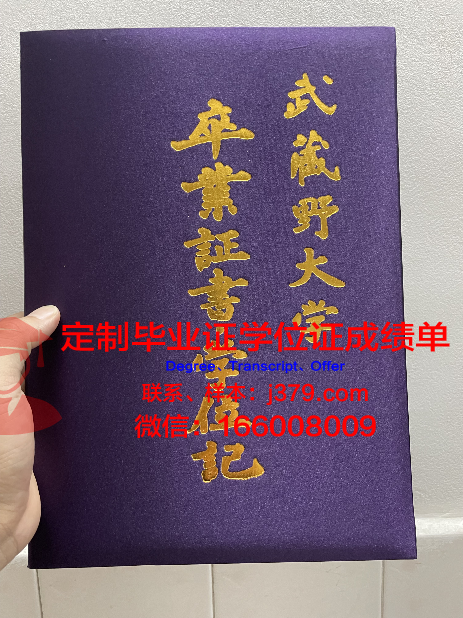 武藏浦和日本学院毕业文凭