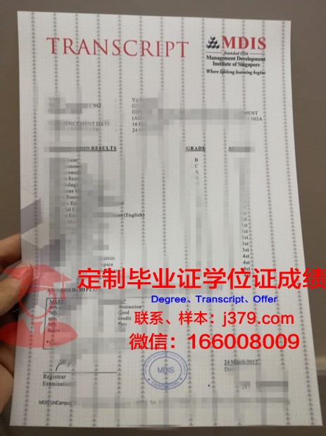 探秘高等工业研究中心成绩单：科技创新的亮丽画卷