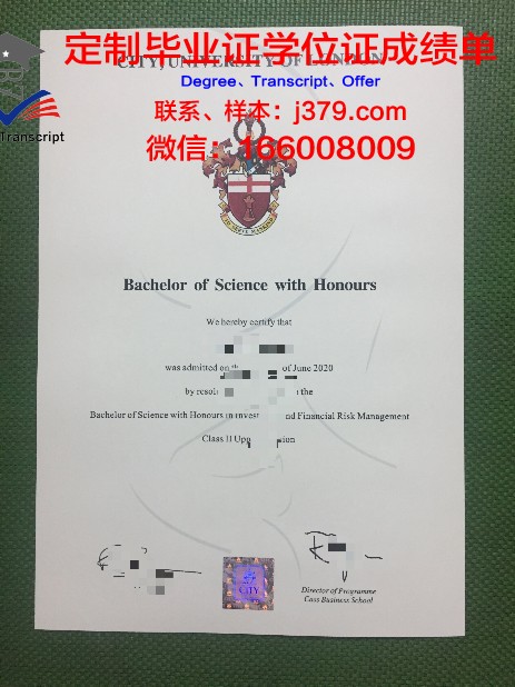 探索ITMO大学本科毕业证的价值与意义