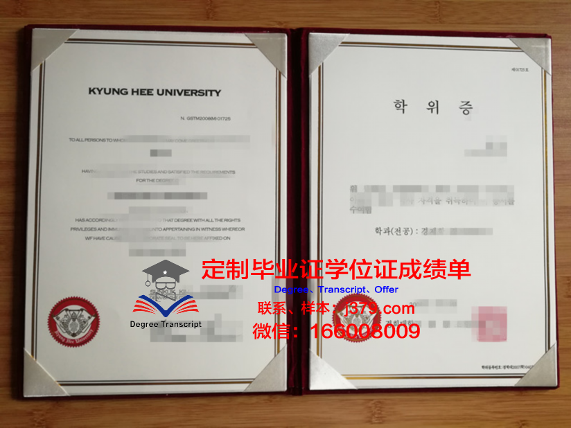 比戈大学diploma证书