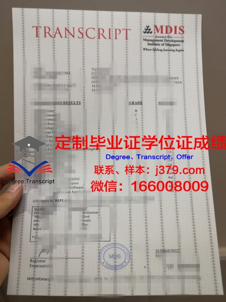 探索国立民用航空学院学位成绩单定制之路