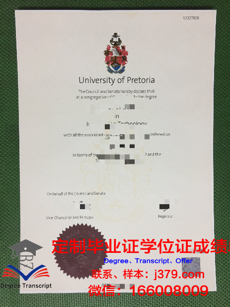 比勒陀利亚大学毕业证学位文凭学历Diploma