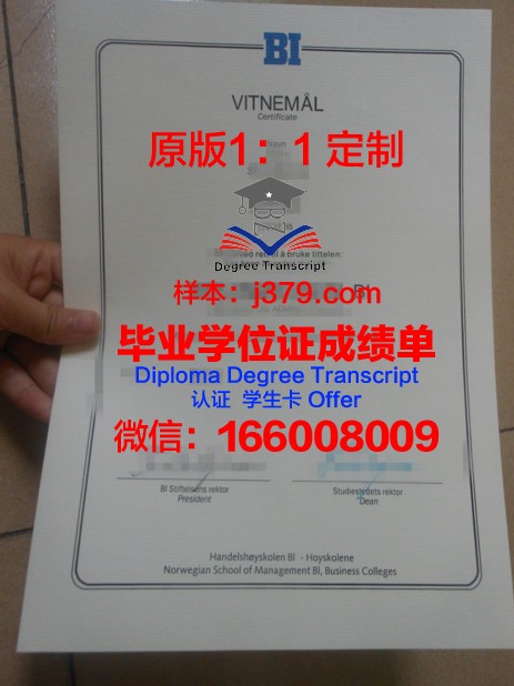 挪威内斯纳大学学院毕业证diploma