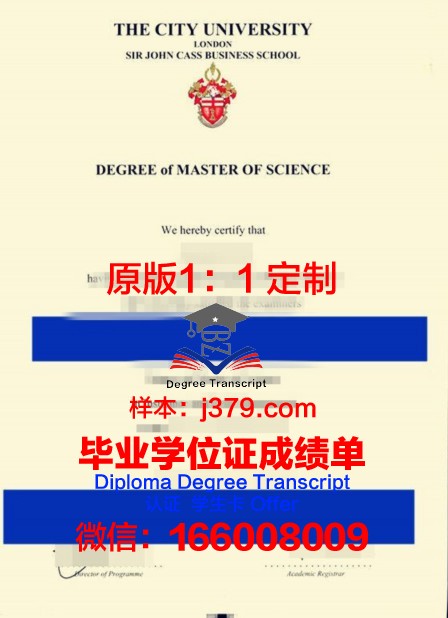 提亚斯宁堡斯商学院毕业学位