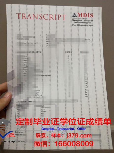 探索印科院学位成绩单定制的奥秘