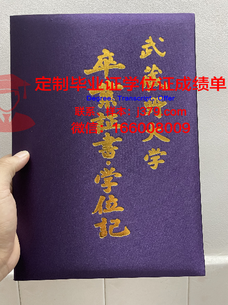 武藏野音乐大学毕业学位